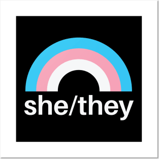 She/They Pronouns Trans Posters and Art